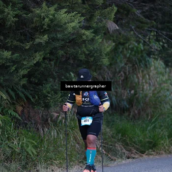 Runner Photo 5306722