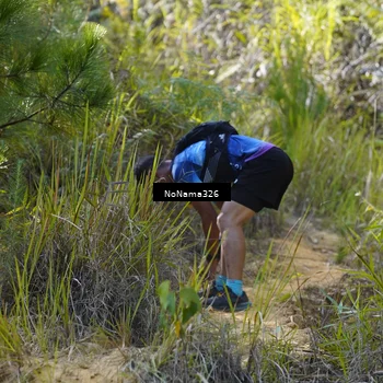 Runner Photo 5307665