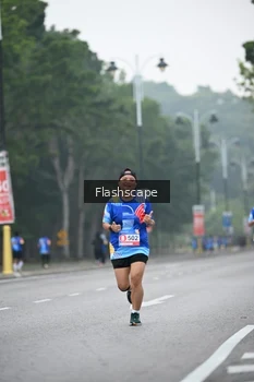 Runner Photo 5308056
