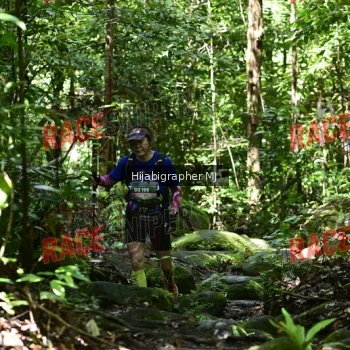 Runner Photo 530823