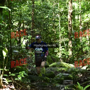 Runner Photo 530824