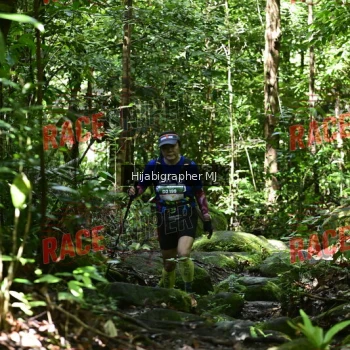 Runner Photo 530825