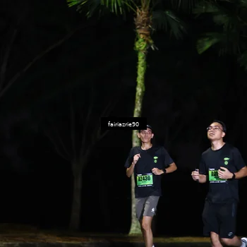 Runner Photo 5308449