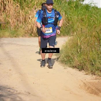 Runner Photo 5308545