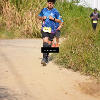 Runner Photo 5308788