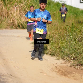 Runner Photo 5308796