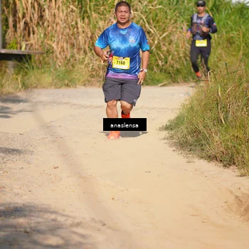 Runner Photo 5308819