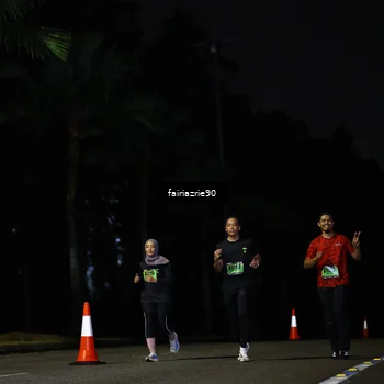 Runner Photo 5308884