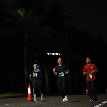 Runner Photo 5308897