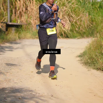 Runner Photo 5308900