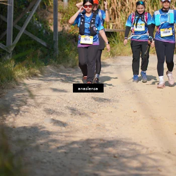 Runner Photo 5308985