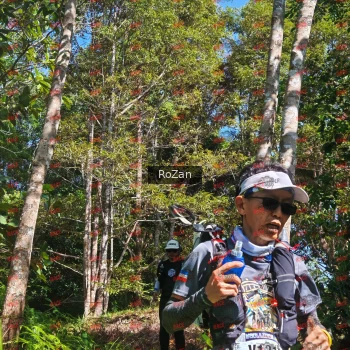 Runner Photo 5309