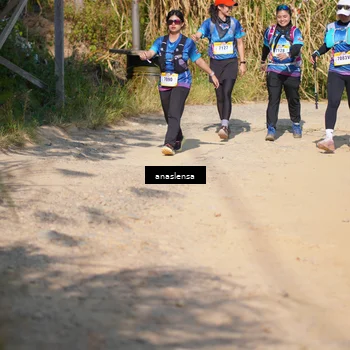 Runner Photo 5309006