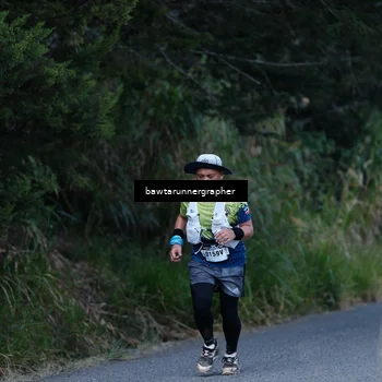 Runner Photo 5309037
