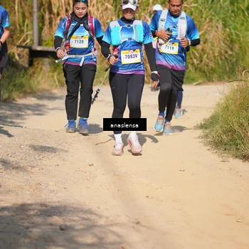 Runner Photo 5309068