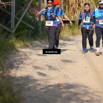 Runner Photo 5309069
