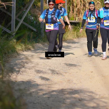 Runner Photo 5309077