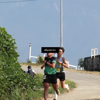 Runner Photo 5309176