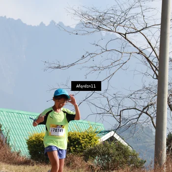 Runner Photo 5309579