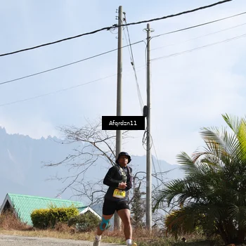 Runner Photo 5309721