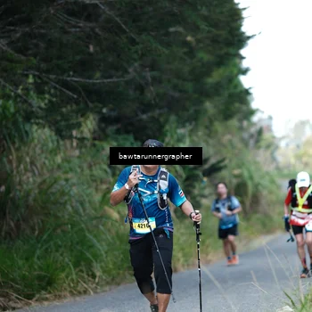 Runner Photo 5309828