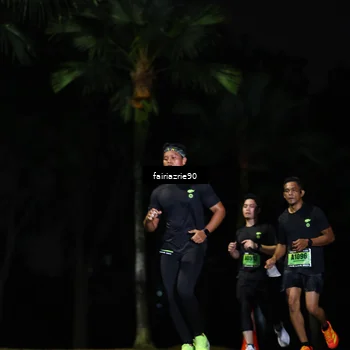 Runner Photo 5309849