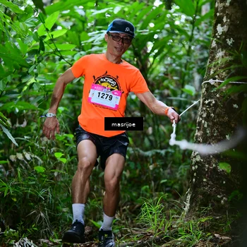 Runner Photo 5310091