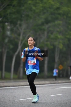 Runner Photo 5310284