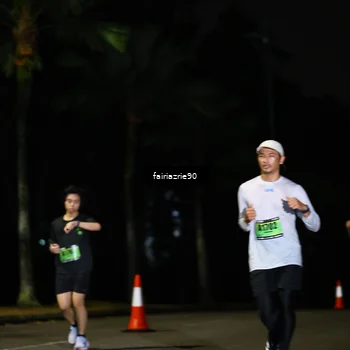 Runner Photo 5310308
