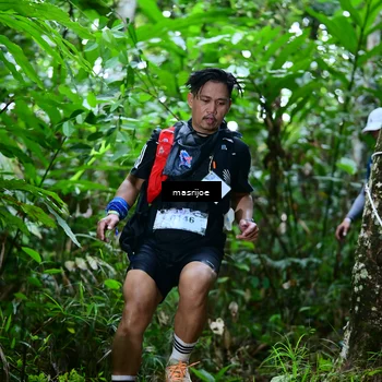 Runner Photo 5310370