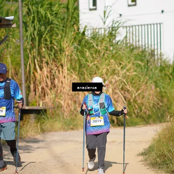 Runner Photo 5310504