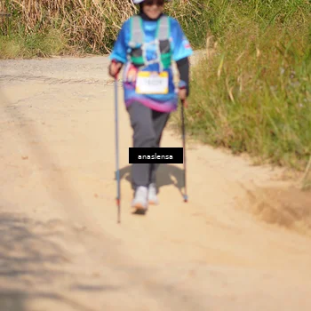 Runner Photo 5310610