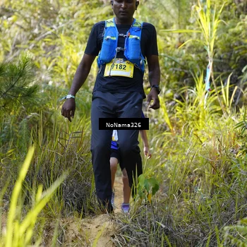 Runner Photo 5310935