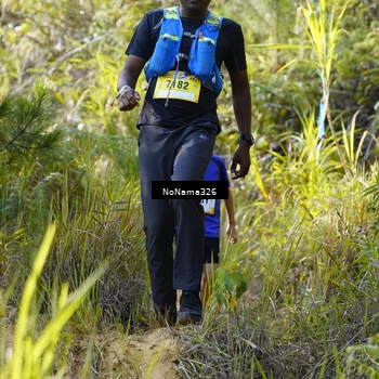 Runner Photo 5310940