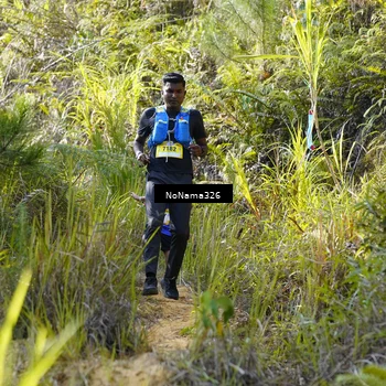 Runner Photo 5310961