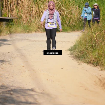 Runner Photo 5311018