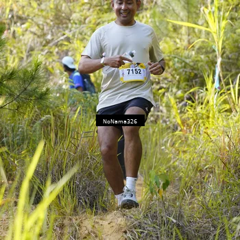 Runner Photo 5311037