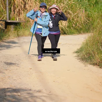 Runner Photo 5311078