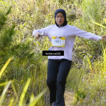 Runner Photo 5311134