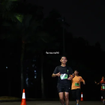 Runner Photo 5311170