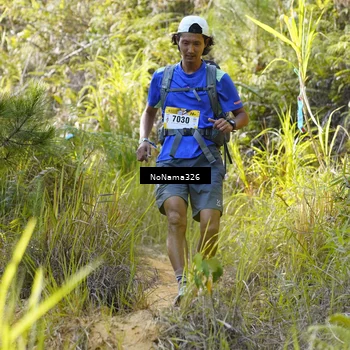 Runner Photo 5311181