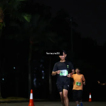 Runner Photo 5311204