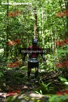 Runner Photo 531121