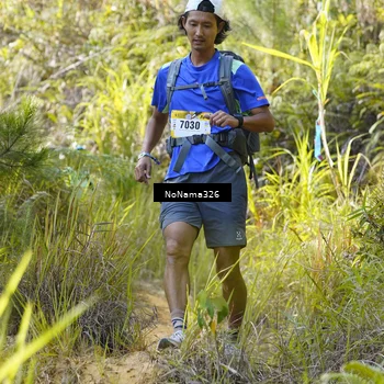 Runner Photo 5311212