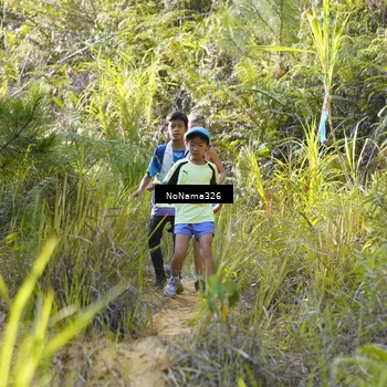 Runner Photo 5311223