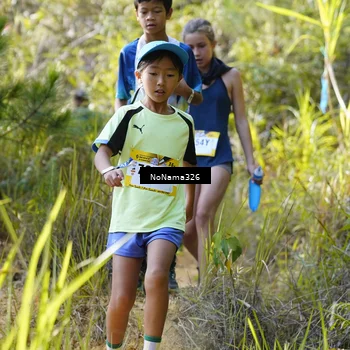 Runner Photo 5311236