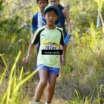 Runner Photo 5311245