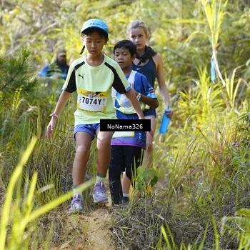Runner Photo 5311247