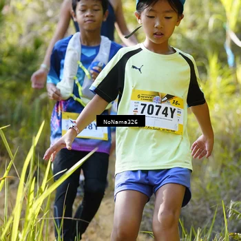 Runner Photo 5311249