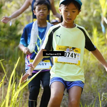 Runner Photo 5311254